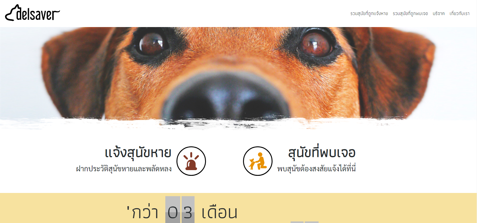 delsaver